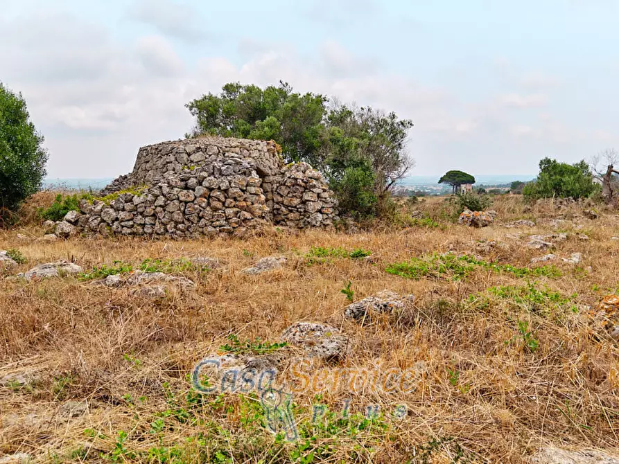 Immagine 19 di Terreno in vendita  in sp-202 a Racale
