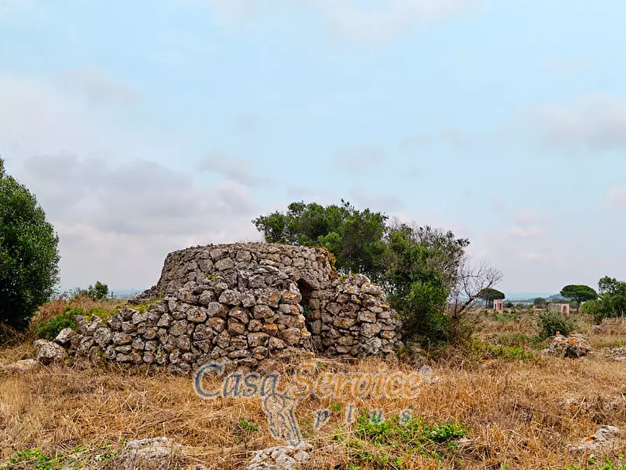 Immagine 20 di Terreno in vendita  in sp-202 a Racale
