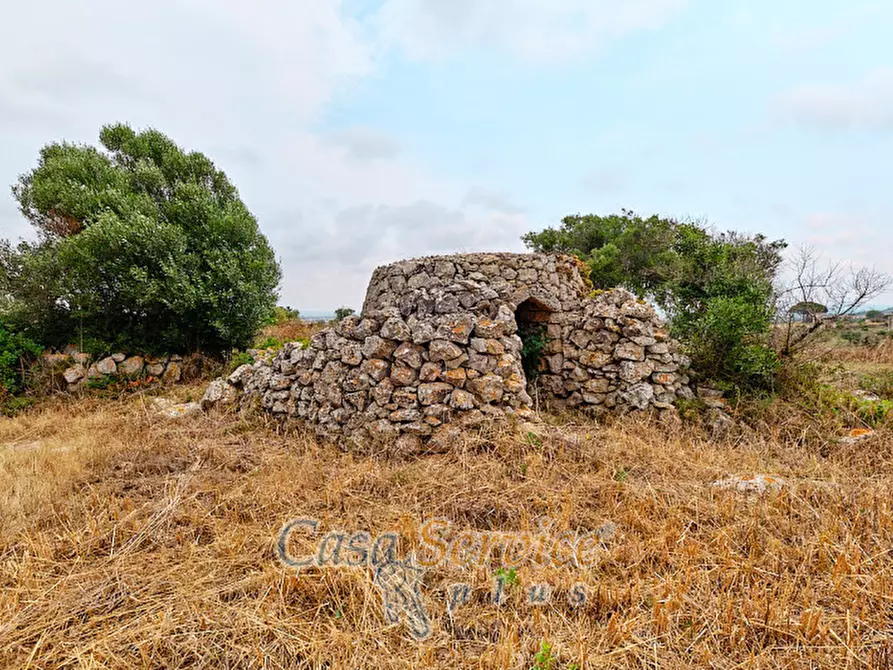 Immagine 22 di Terreno in vendita  in sp-202 a Racale