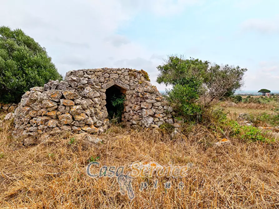 Immagine 23 di Terreno in vendita  in sp-202 a Racale
