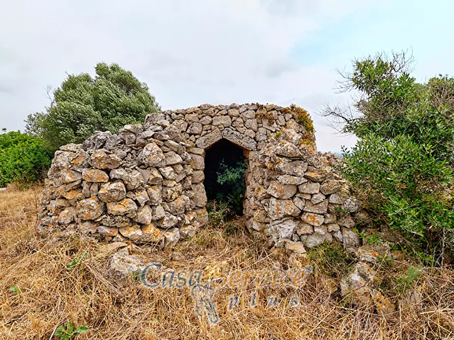 Immagine 24 di Terreno in vendita  in sp-202 a Racale
