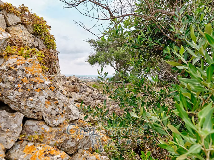 Immagine 25 di Terreno in vendita  in sp-202 a Racale