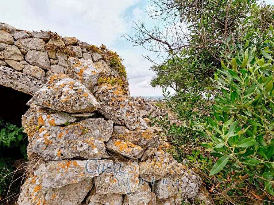 Immagine 26 di Terreno in vendita  in sp-202 a Racale