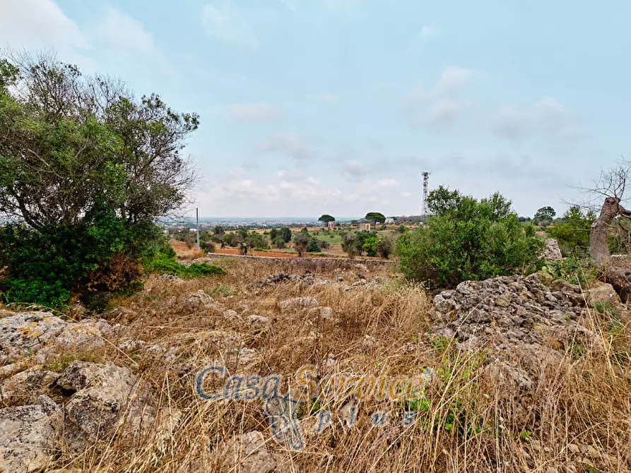 Immagine 27 di Terreno in vendita  in sp-202 a Racale