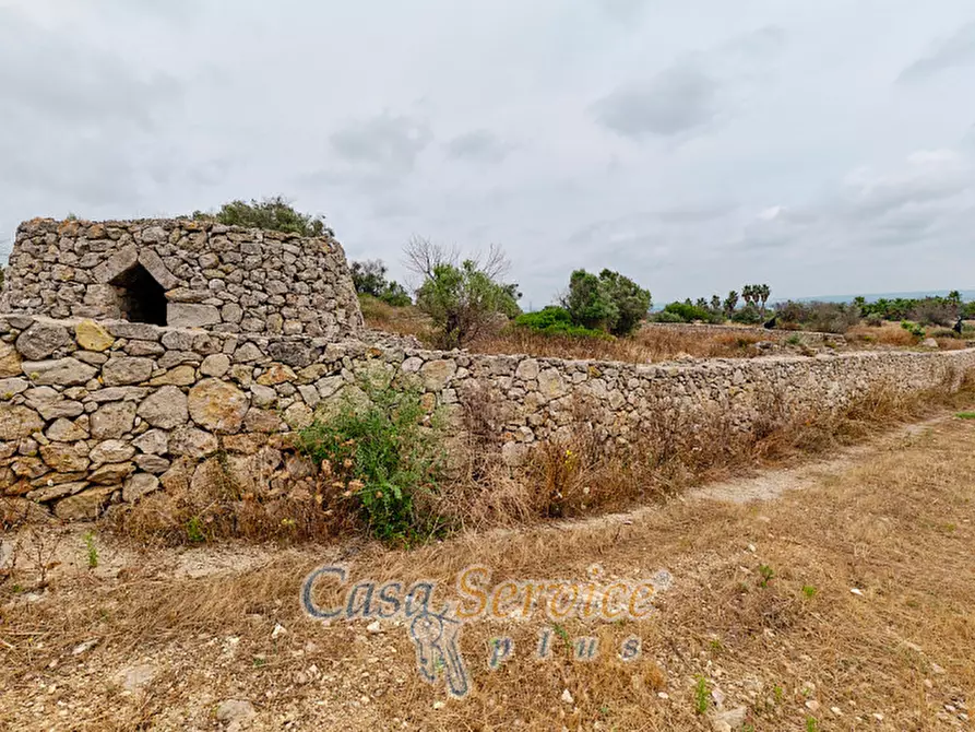 Immagine 31 di Terreno in vendita  in sp-202 a Racale