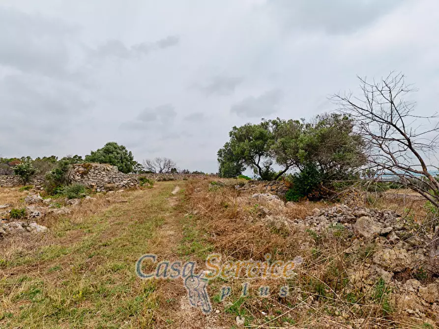 Immagine 33 di Terreno in vendita  in sp-202 a Racale