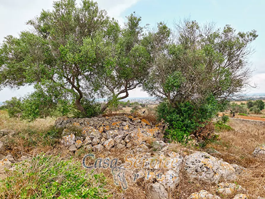 Immagine 35 di Terreno in vendita  in sp-202 a Racale