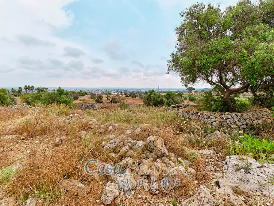 Immagine 36 di Terreno in vendita  in sp-202 a Racale