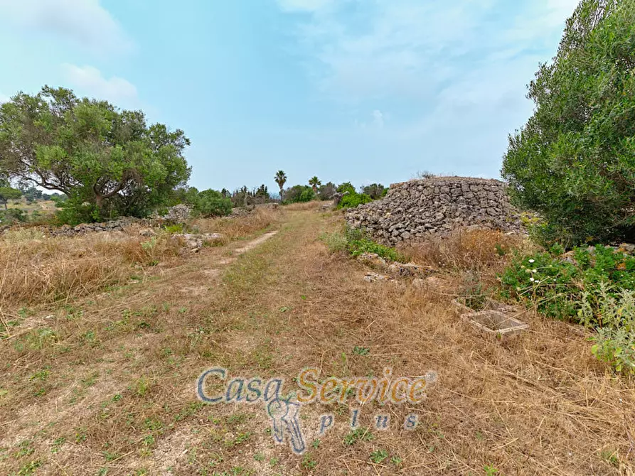 Immagine 37 di Terreno in vendita  in sp-202 a Racale