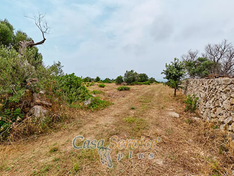 Immagine 38 di Terreno in vendita  in sp-202 a Racale