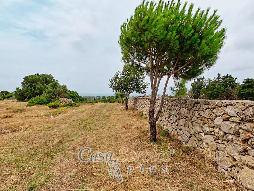 Immagine 39 di Terreno in vendita  in sp-202 a Racale