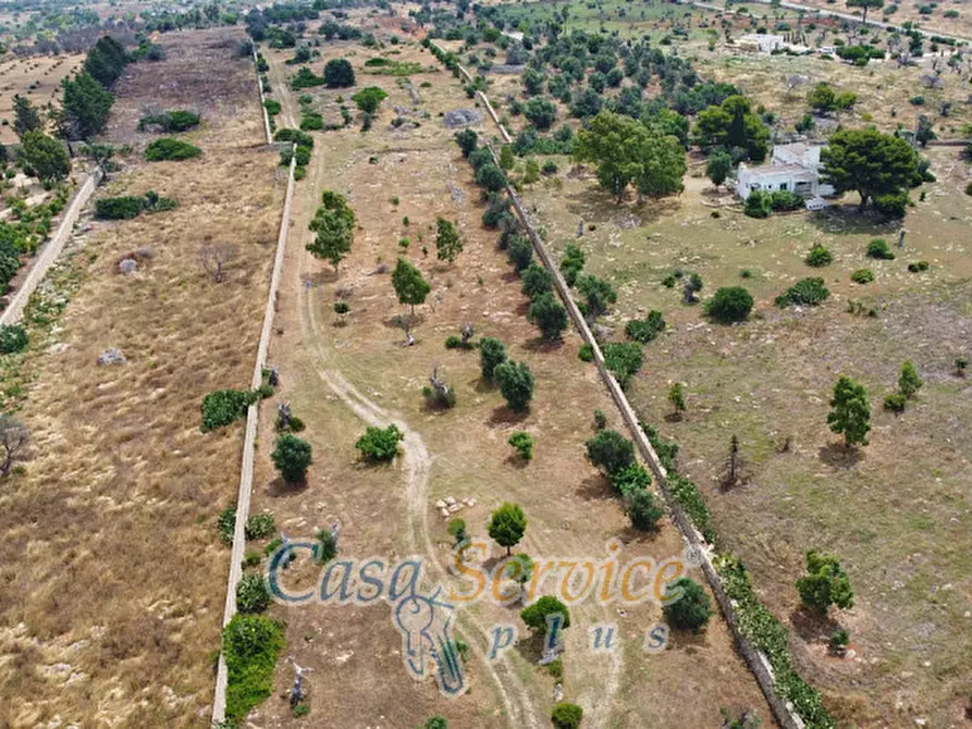 Immagine 42 di Terreno in vendita  in sp-202 a Racale