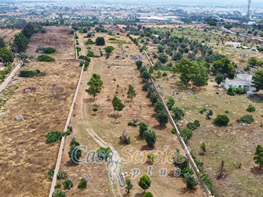 Immagine 43 di Terreno in vendita  in sp-202 a Racale