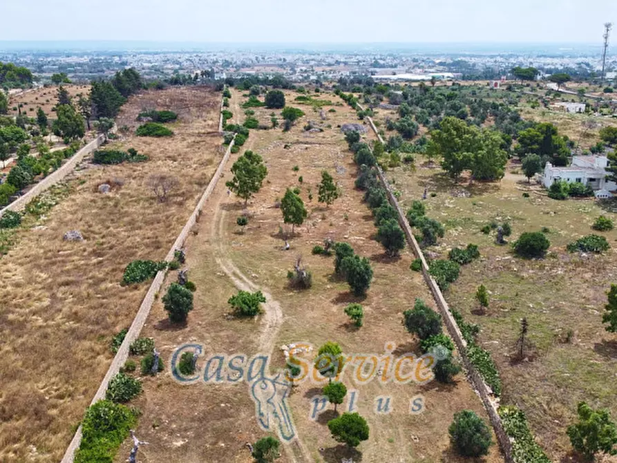 Immagine 44 di Terreno in vendita  in sp-202 a Racale