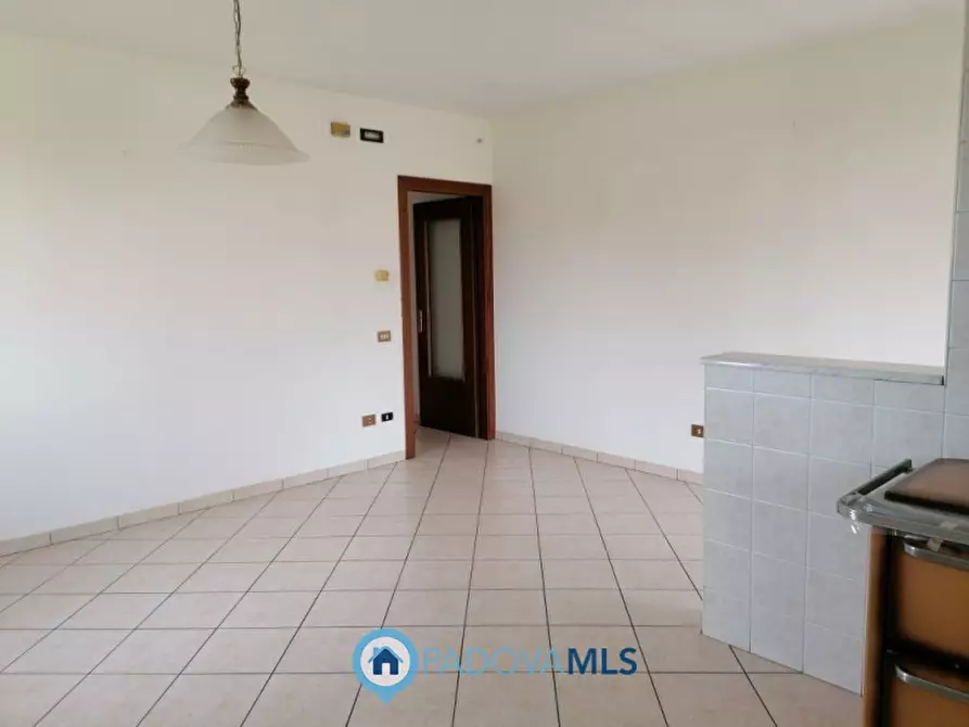 Immagine 15 di Casa bifamiliare in vendita  in Via Rosara a Codevigo