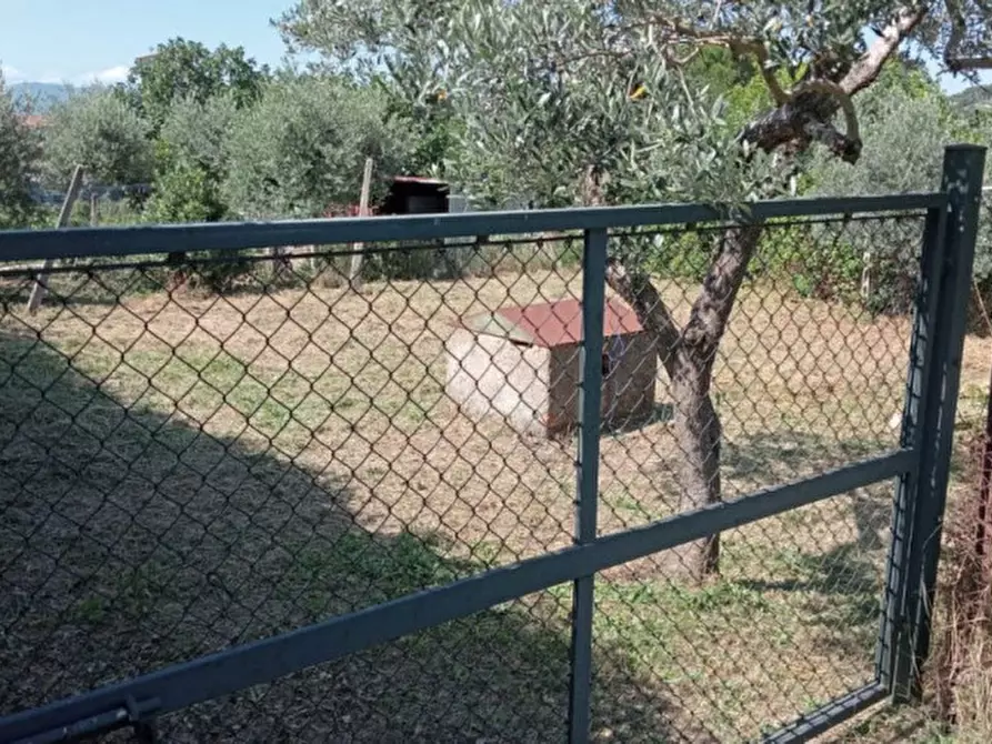 Immagine 14 di Appartamento in vendita  a Magione