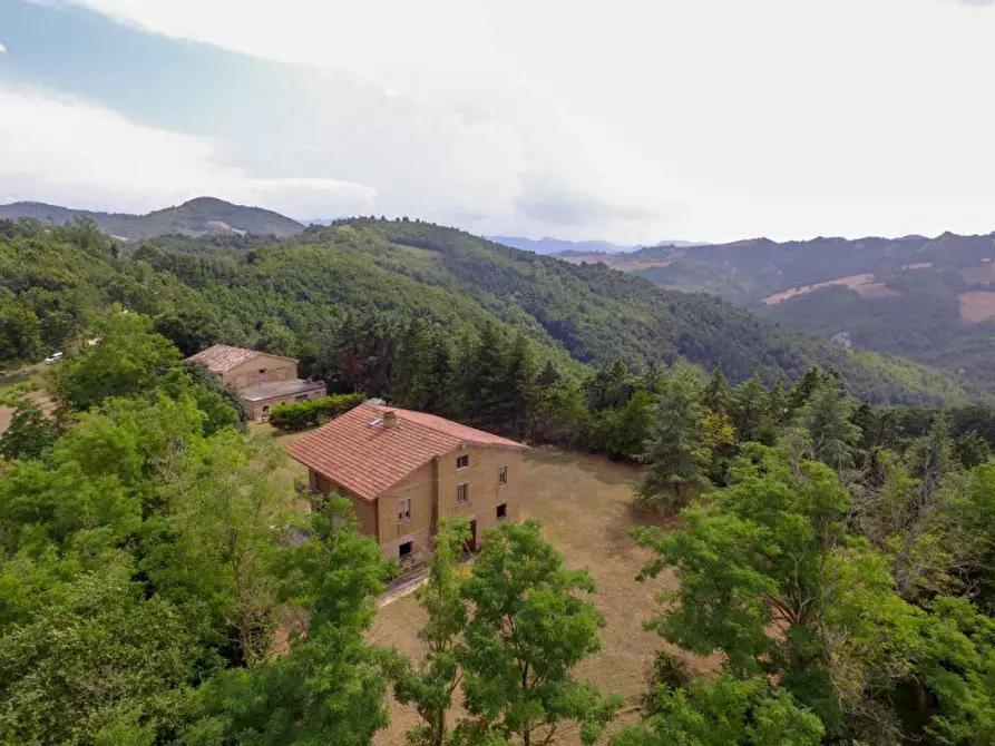 Immagine 21 di Rustico / casale in vendita  in località Monte Olivo a Urbino
