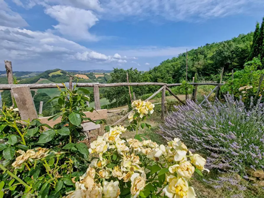 Immagine 25 di Rustico / casale in vendita  in località Monte Olivo a Urbino