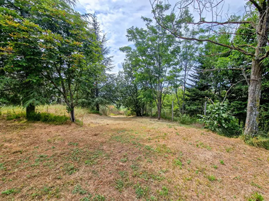 Immagine 27 di Rustico / casale in vendita  in località Monte Olivo a Urbino