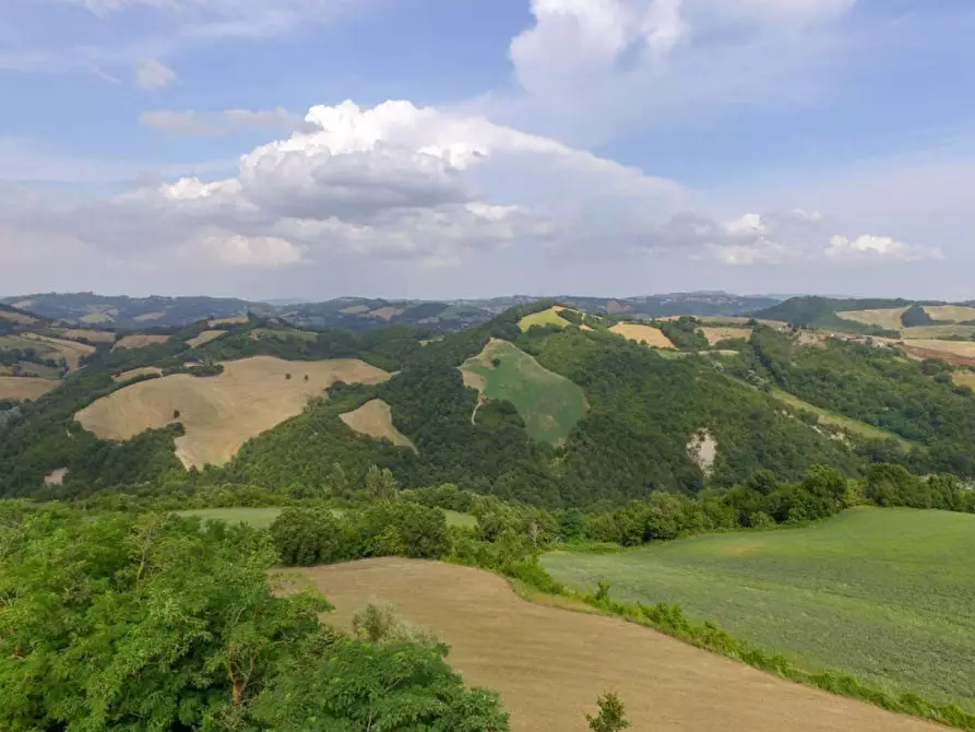 Immagine 30 di Rustico / casale in vendita  in località Monte Olivo a Urbino