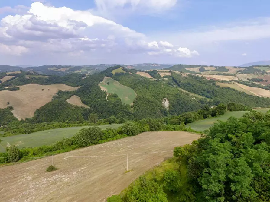 Immagine 31 di Rustico / casale in vendita  in località Monte Olivo a Urbino