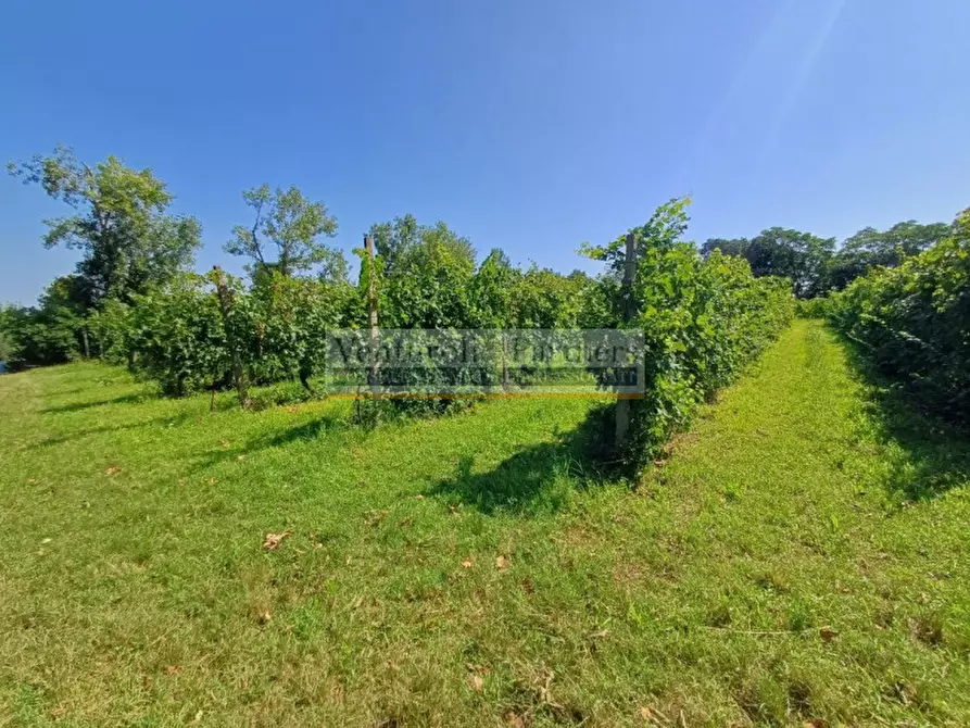 Immagine 25 di Casa bifamiliare in vendita  in località pignolada a Valeggio Sul Mincio