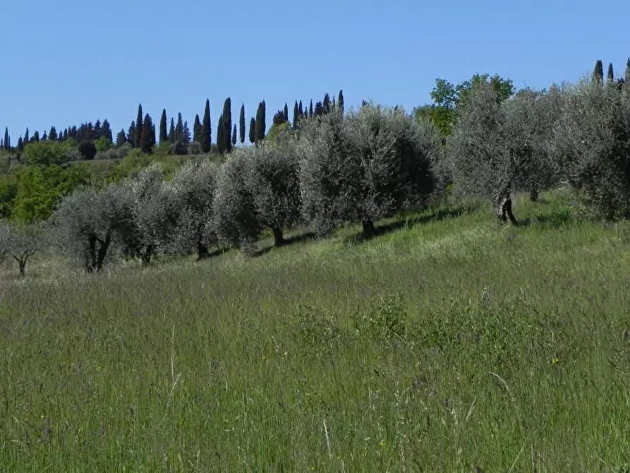 Immagine 13 di Villa in vendita  in via Manzoni a Puegnago Sul Garda
