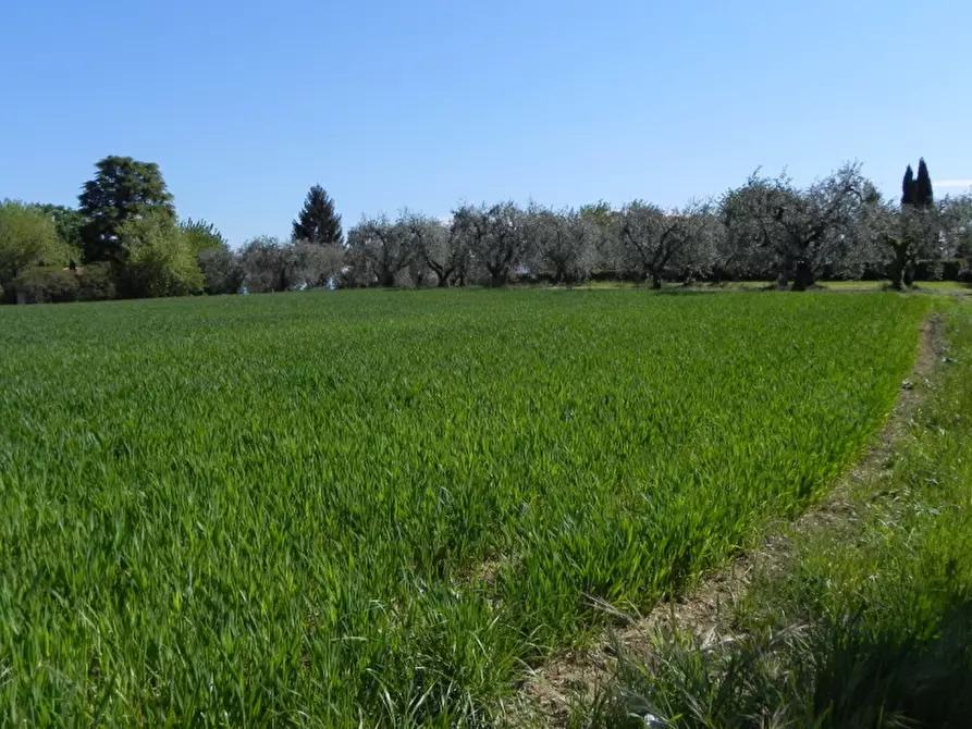 Immagine 14 di Villa in vendita  in via Manzoni a Puegnago Sul Garda