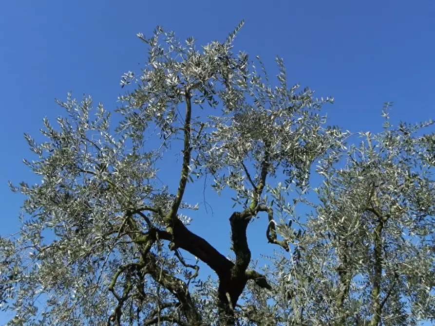 Immagine 15 di Villa in vendita  in via Manzoni a Puegnago Sul Garda