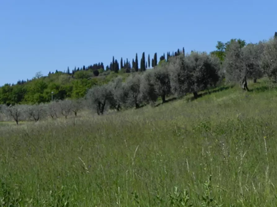 Immagine 18 di Villa in vendita  in via Manzoni a Puegnago Sul Garda