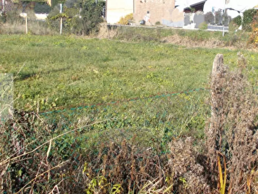 Immagine 7 di Rustico / casale in vendita  a Zero Branco