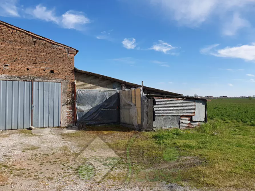 Immagine 3 di Rustico / casale in vendita  in via campomarzo 25 a Lendinara