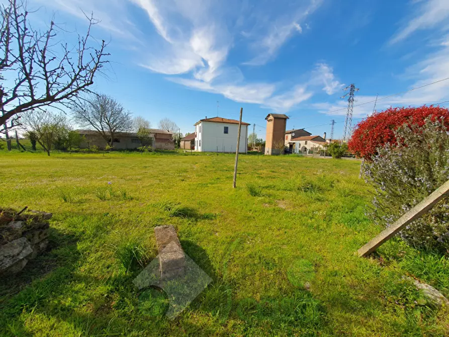 Immagine 4 di Rustico / casale in vendita  in via campomarzo 25 a Lendinara