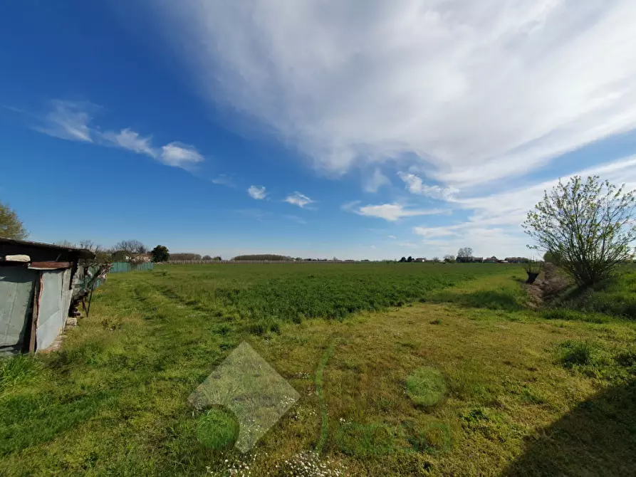 Immagine 5 di Rustico / casale in vendita  in via campomarzo 25 a Lendinara