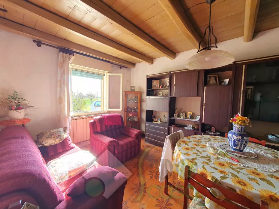 Immagine 8 di Rustico / casale in vendita  in via campomarzo 25 a Lendinara