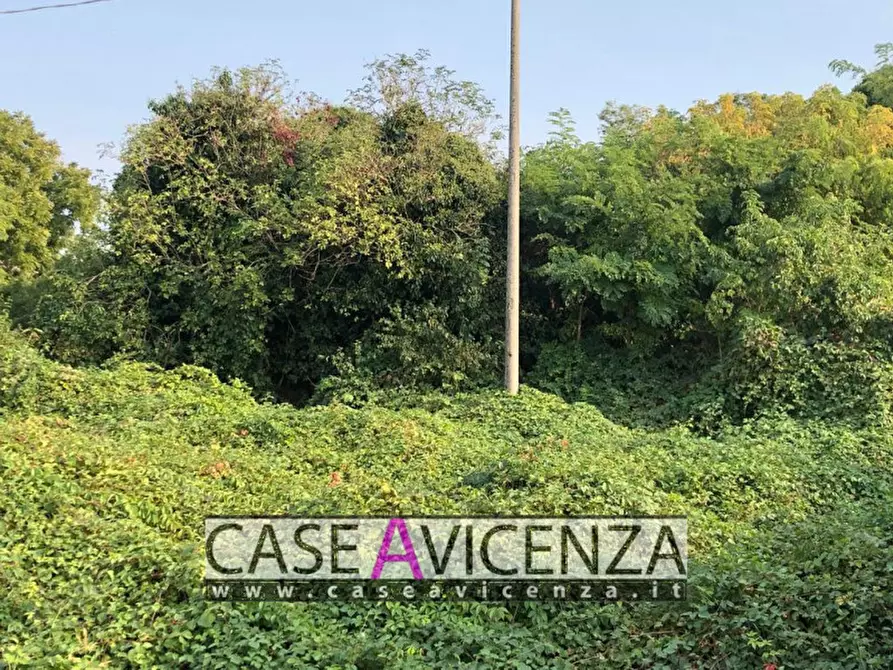 Immagine 4 di Terreno in vendita  in via roma a Grisignano Di Zocco