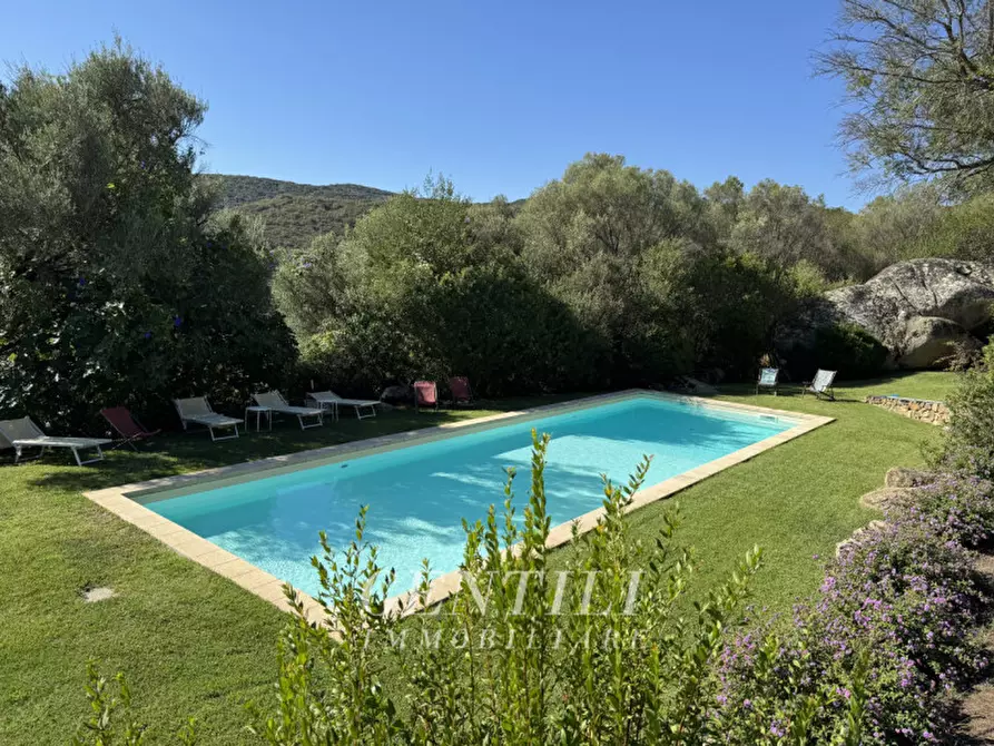 Immagine 2 di Villa in vendita  a Luogosanto