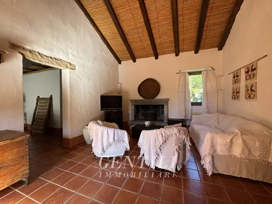 Immagine 7 di Villa in vendita  a Luogosanto