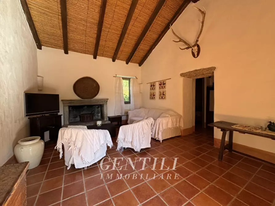 Immagine 8 di Villa in vendita  a Luogosanto