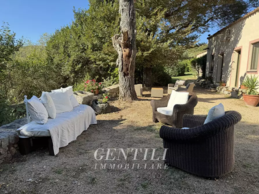 Immagine 16 di Villa in vendita  a Luogosanto