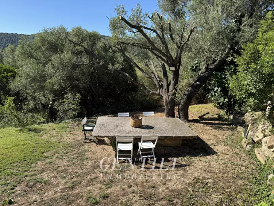 Immagine 23 di Villa in vendita  a Luogosanto