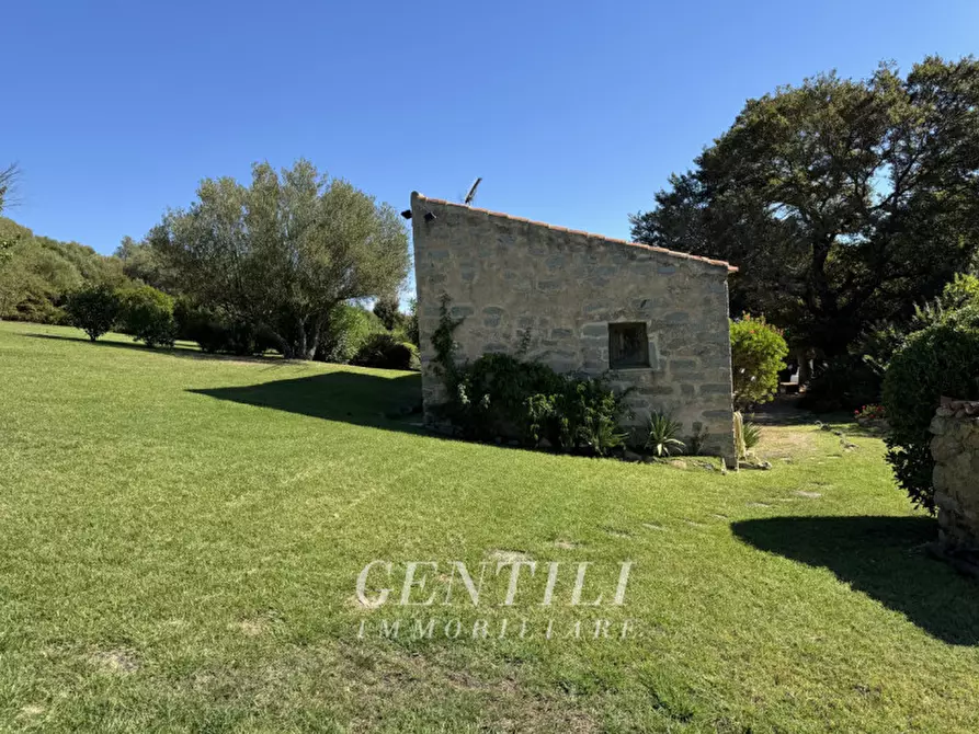 Immagine 25 di Villa in vendita  a Luogosanto