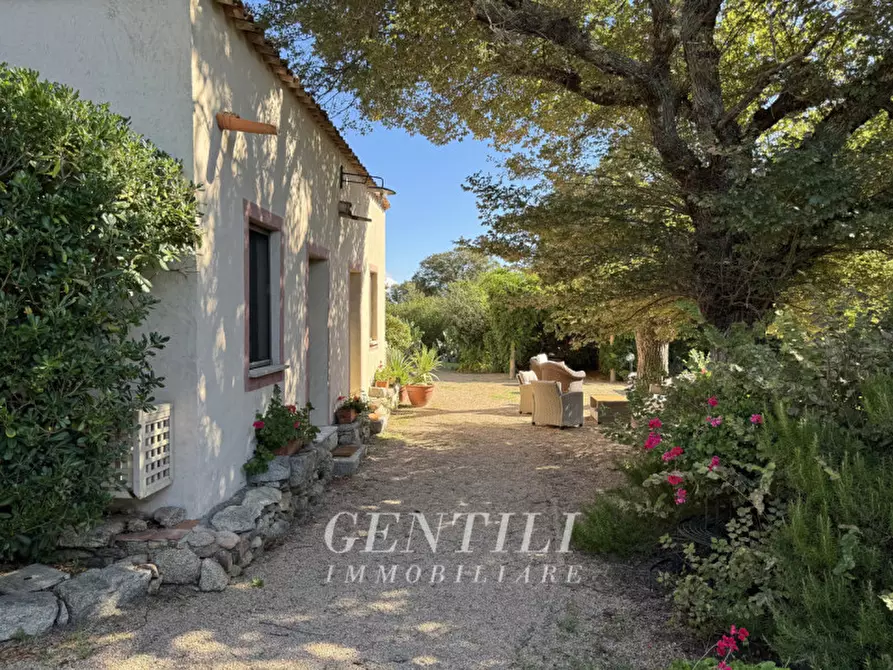 Immagine 26 di Villa in vendita  a Luogosanto