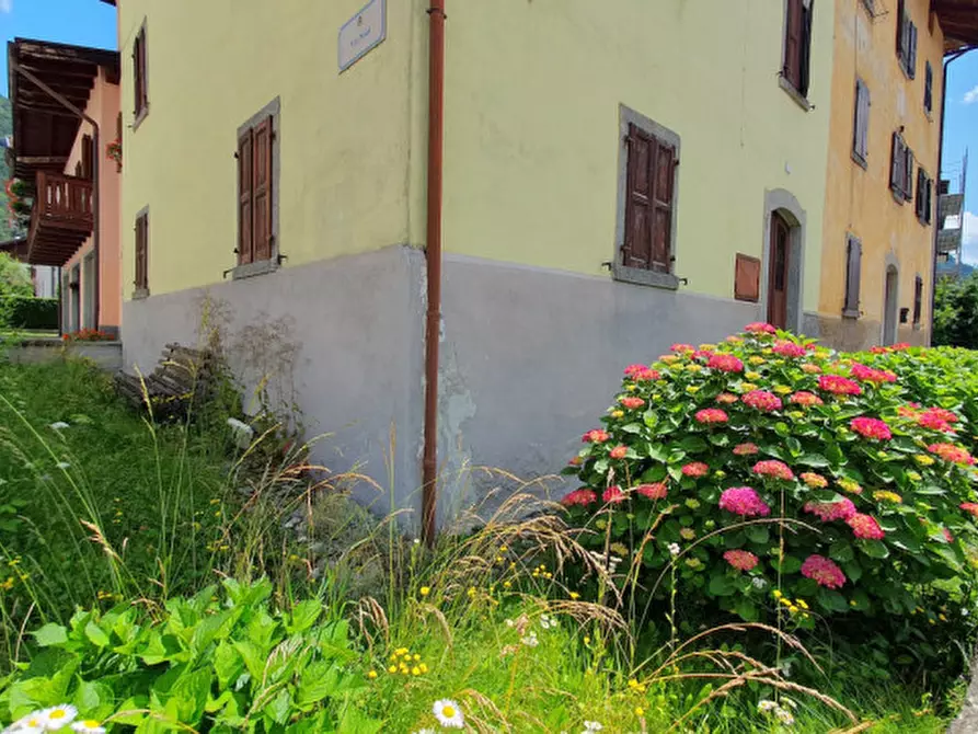 Immagine 3 di Casa indipendente in vendita  in via noal a Sella Giudicarie