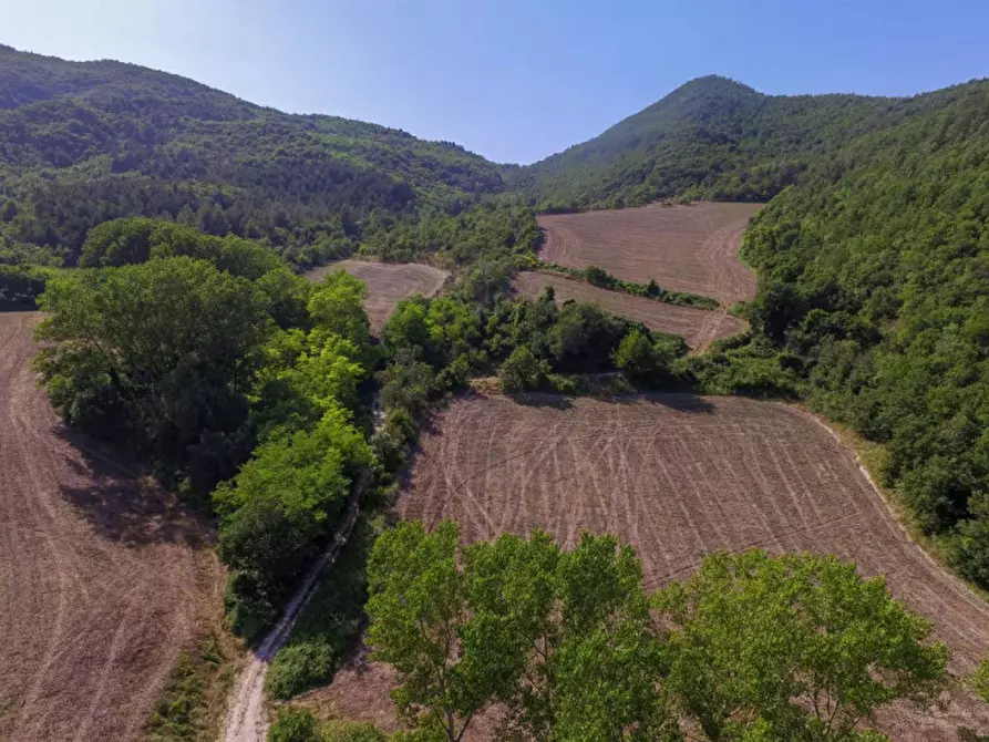 Immagine 2 di Rustico / casale in vendita  in località Orsaiola a Urbania