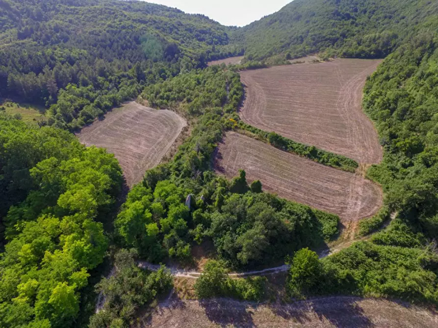 Immagine 3 di Rustico / casale in vendita  in località Orsaiola a Urbania