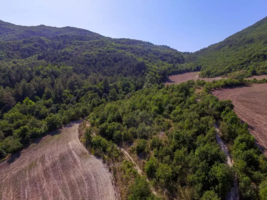 Immagine 4 di Rustico / casale in vendita  in località Orsaiola a Urbania