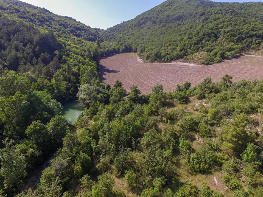 Immagine 5 di Rustico / casale in vendita  in località Orsaiola a Urbania