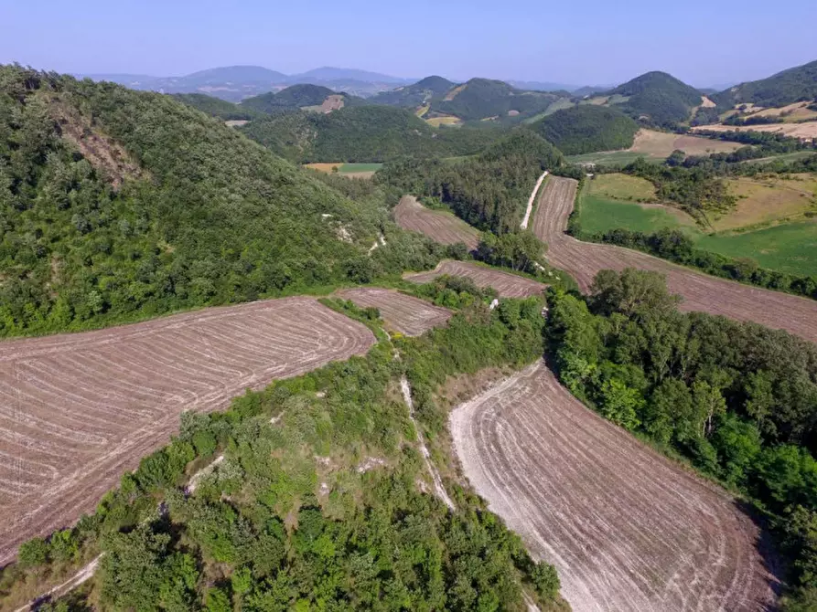 Immagine 6 di Rustico / casale in vendita  in località Orsaiola a Urbania