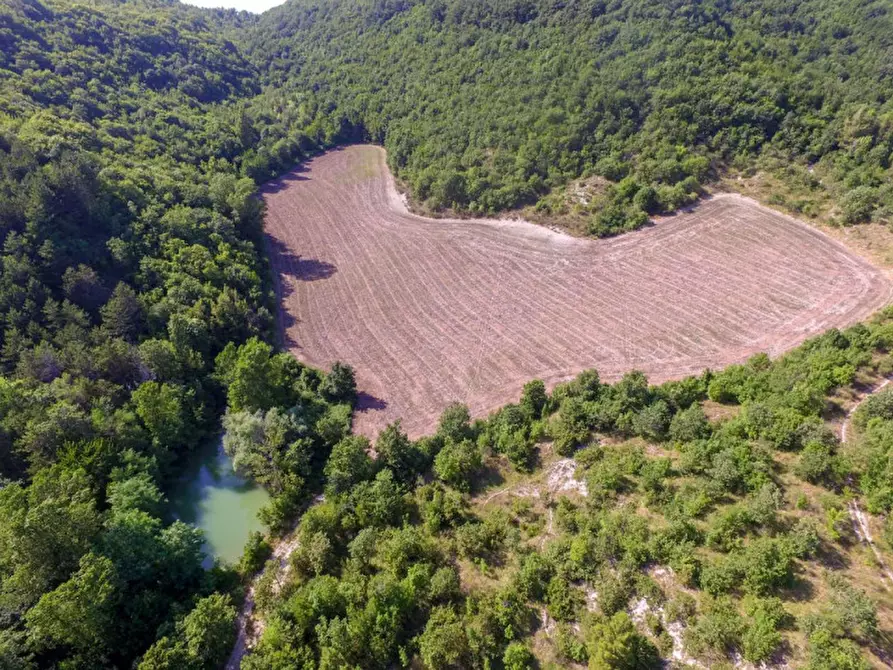 Immagine 7 di Rustico / casale in vendita  in località Orsaiola a Urbania